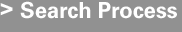 Search Process